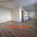Rent 2 bedroom apartment of 37 m² in Havířov