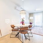 Rent 1 bedroom apartment of 44 m² in Zagreb
