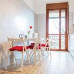 Rent a room in Padova