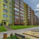 Rent 1 bedroom apartment of 25 m² in Orlová