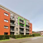 Rent 2 bedroom apartment of 90 m² in Halle
