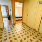 Appartement de 55 m² avec 1 chambre(s) en location à Grenoble