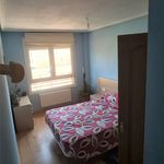 Rent 2 bedroom apartment of 60 m² in Salamanca