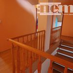 Rent 1 bedroom house of 252 m² in Hostivice