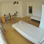 Pronajměte si 1 ložnic/e byt o rozloze 65 m² v Brno