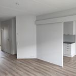 Rent 2 bedroom house of 60 m² in Vantaa