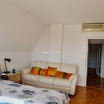 Rent 4 bedroom house of 330 m² in Budapest