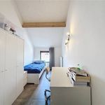 Huur 3 slaapkamer huis in Poperinge