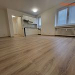 Rent 1 bedroom apartment of 28 m² in Havířov
