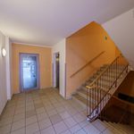 Rent 1 bedroom apartment of 30 m² in Pardubice
