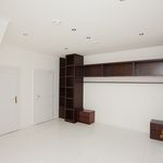 Rent 1 bedroom apartment of 253 m² in Praha
