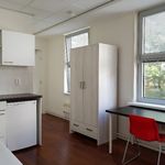 Rent a room of 34 m² in 's-Gravenhage