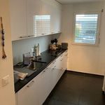 Rent 4 bedroom apartment of 96 m² in Belmont-Broye