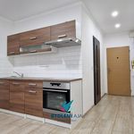 Rent 2 bedroom apartment of 35 m² in Krupka