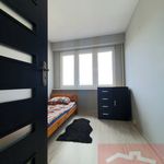 Rent 3 bedroom apartment of 60 m² in Bełchatów