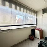 Rent 3 bedroom apartment of 79 m² in Torino
