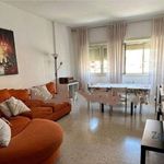 Rent 2 bedroom apartment of 112 m² in Roma