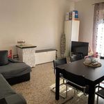 Affitto 4 camera appartamento di 105 m² in Ciampino