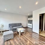 Wynajmij 1 sypialnię apartament z 30 m² w Katowice