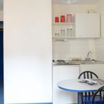 Rent 1 bedroom apartment of 25 m² in Lyon 08
