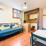 Rent 1 bedroom apartment of 40 m² in Florence
