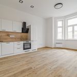 Rent 1 bedroom apartment of 48 m² in Opava