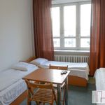 Wynajmij 6 sypialnię dom z 160 m² w Kraków