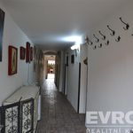 Rent 1 bedroom house of 160 m² in Břežany I