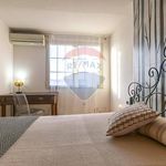 Rent 2 bedroom apartment of 50 m² in Quartucciu