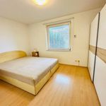 Rent 2 bedroom apartment of 55 m² in Číhošť