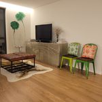 Rent 1 bedroom apartment of 70 m² in Porto