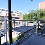 Rent 1 bedroom apartment of 45 m² in Rotterdam