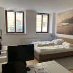 Rent 2 bedroom apartment of 62 m² in Leipzig