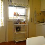 Rent 3 bedroom student apartment of 130 m² in Roma