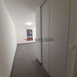 Rent 3 bedroom apartment of 65 m² in Metz