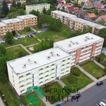 Rent 1 bedroom apartment of 36 m² in Lovosice