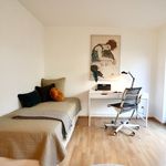 Rent 1 bedroom apartment of 22 m² in Düsseldorf