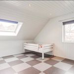 Rent 6 bedroom house of 225 m² in Namsos