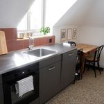 Rent 3 bedroom apartment in Luzern