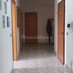 Affitto 4 camera appartamento di 150 m² in Reggio di Calabria