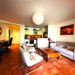 Rent 2 bedroom apartment of 42 m² in BAIE MAHAULT