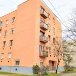 Rent 2 bedroom apartment of 43 m² in Miskolc