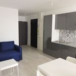Rent 1 bedroom apartment of 25 m² in Dax
