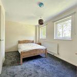 Rent 3 bedroom house in Norwich