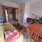 Rent 3 bedroom apartment of 75 m² in Cassino