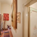 Rent 1 bedroom apartment of 53 m² in Firenze