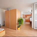 Pronajměte si 1 ložnic/e byt o rozloze 43 m² v Jáchymov