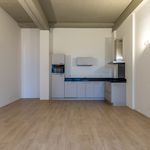 Huur 1 slaapkamer appartement van 48 m² in Arnhem