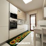 Rent 4 bedroom apartment of 85 m² in Matera