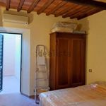 Rent 2 bedroom apartment of 45 m² in Livorno
